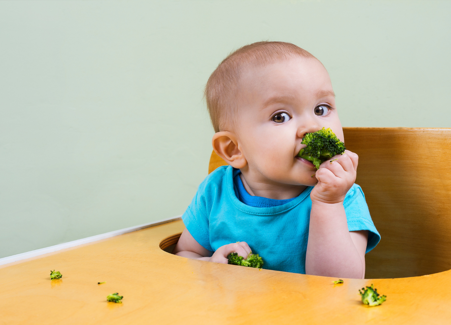 is-your-baby-ready-to-start-solids-the-family-nutritionist