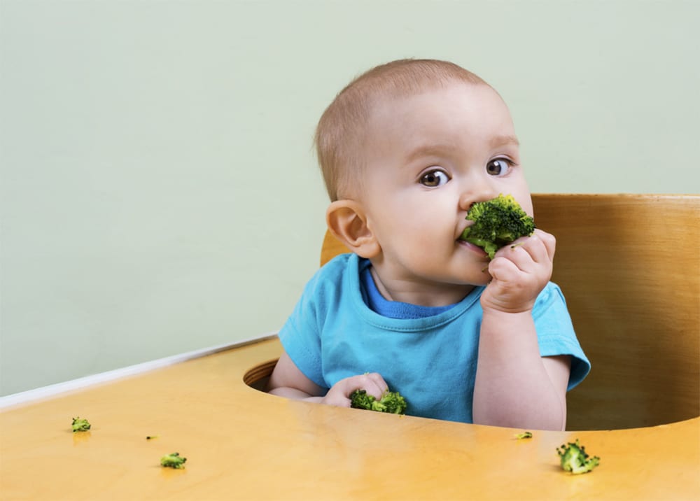 Is Your Baby Ready to Start Solids?