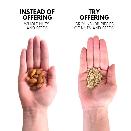 Instead of offering whole nuts and seeds to your child, try offering ground or pieces of nuts and seeds