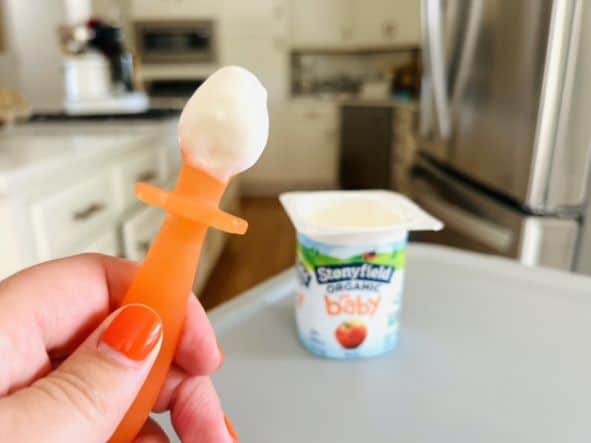 https://myfamilynutritionist.com/wp-content/uploads/2022/08/Best-yogurt-for-baby-utensil.jpeg