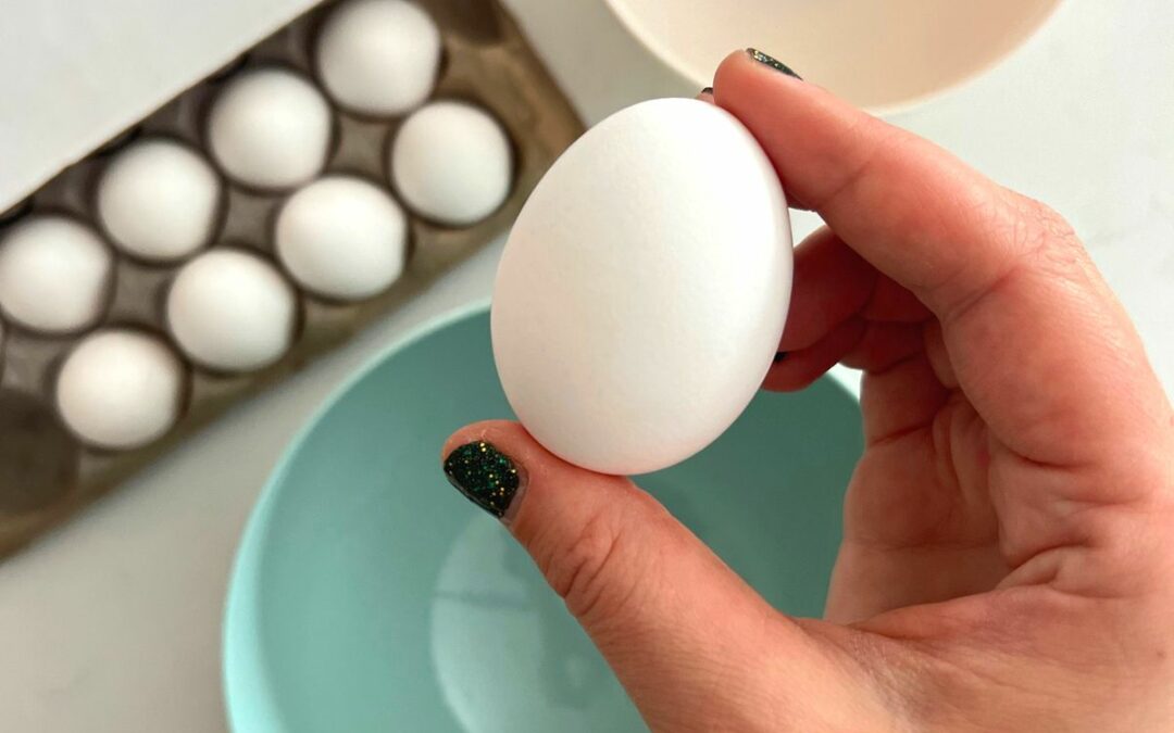 5 Reasons Why Kids Should Eat Eggs