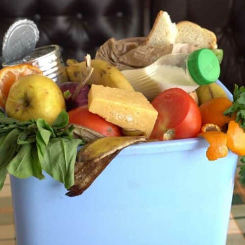 9 Ways to Reduce Food Waste as a Family