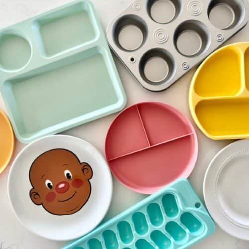 The 10 Best Kids Plates – According to Picky Eater Dietitian