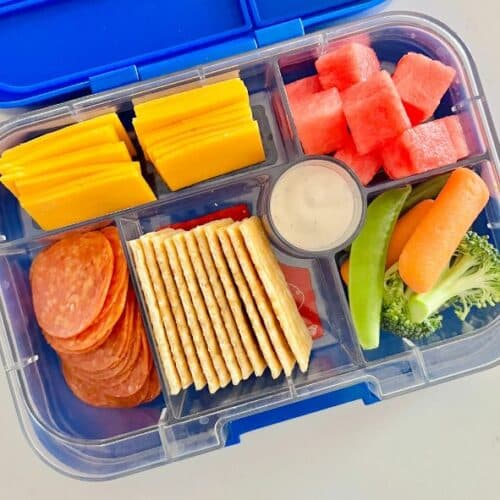 10 Picky Eater Lunch Box Ideas – From A Registered Dietitian
