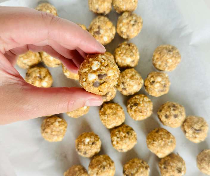 The Best Smores Protein Balls