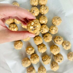 smores protein balls