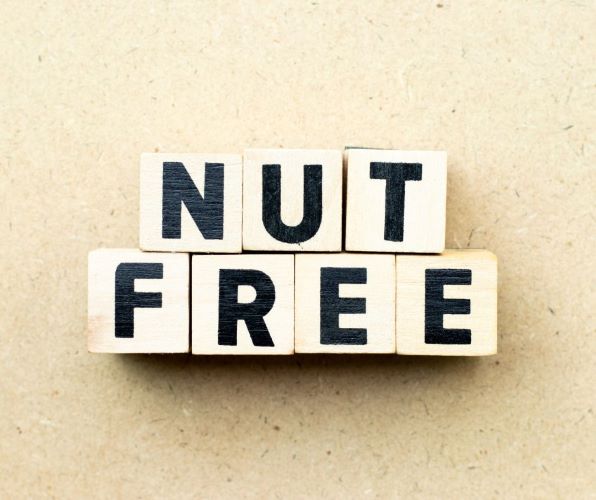 nut free snacks for school