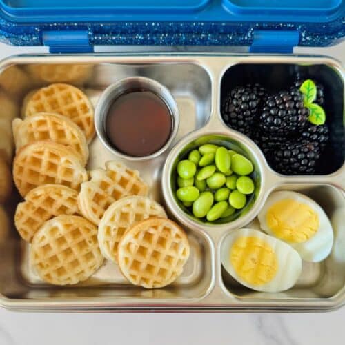 Kid-Friendly Alternatives to Deli Meat for Lunch Boxes