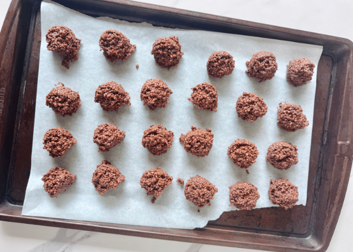 Chocolate Quinoa Crisps